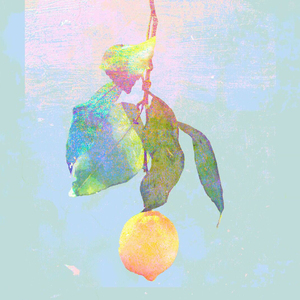 两人做爱动作片
